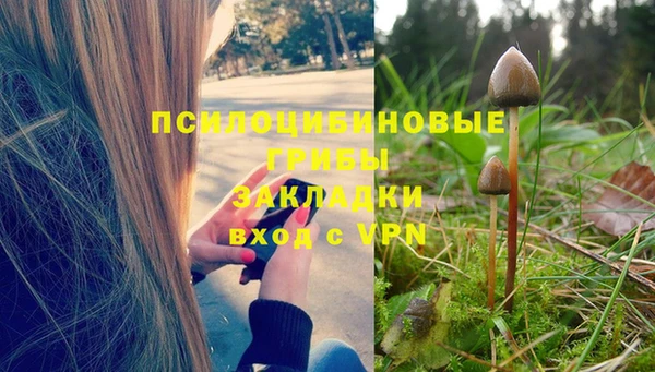 соль курить ск Белокуриха
