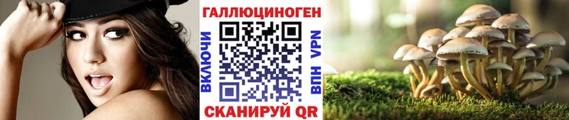 где купить наркотик  Чёрмоз  Псилоцибиновые грибы мухоморы 